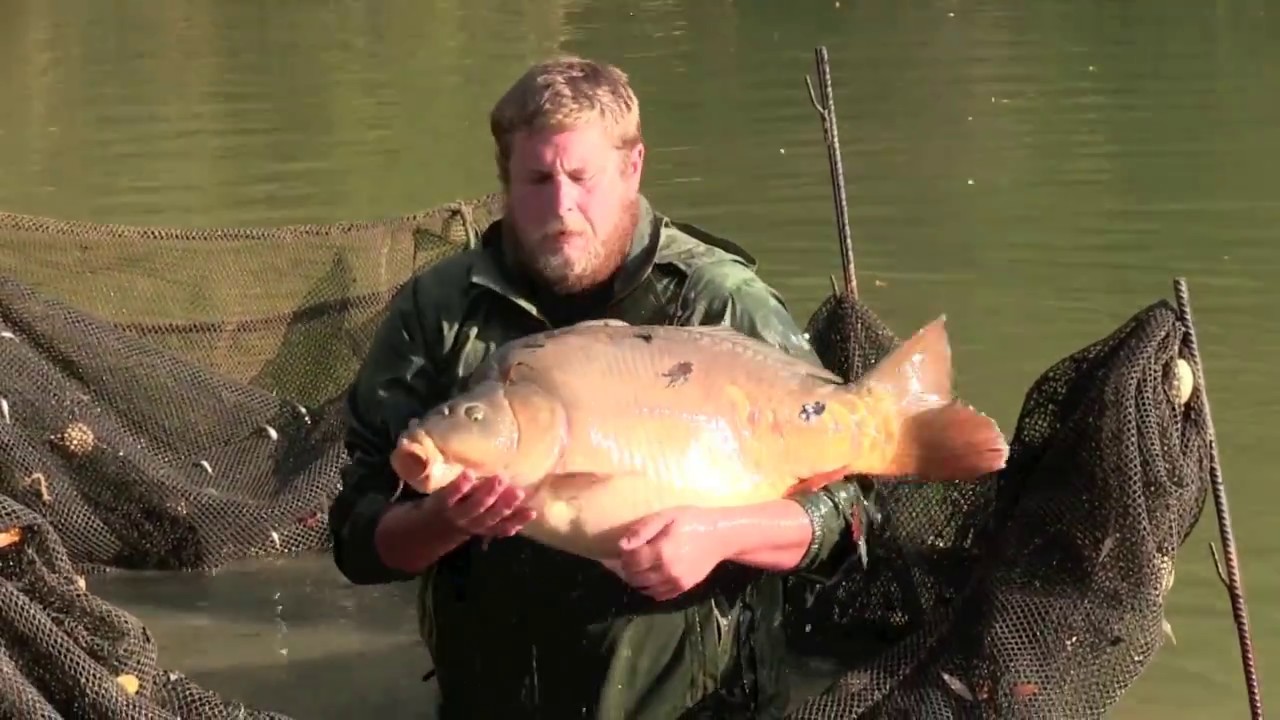 Oakview Lake Netting 2016