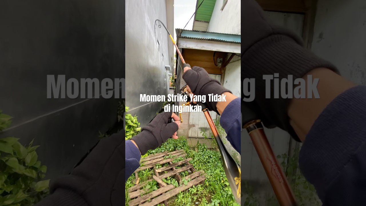 Momen Strike Yang Tidak di Inginkan #castinggabusdiparitkecil #mancing  #angler (Mancing Casting)