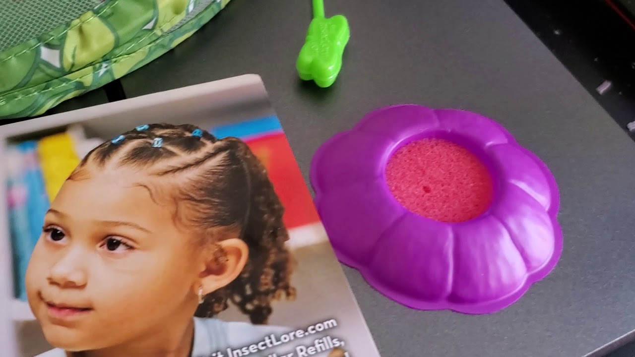 Insect Lore Butterfly Garden Review
