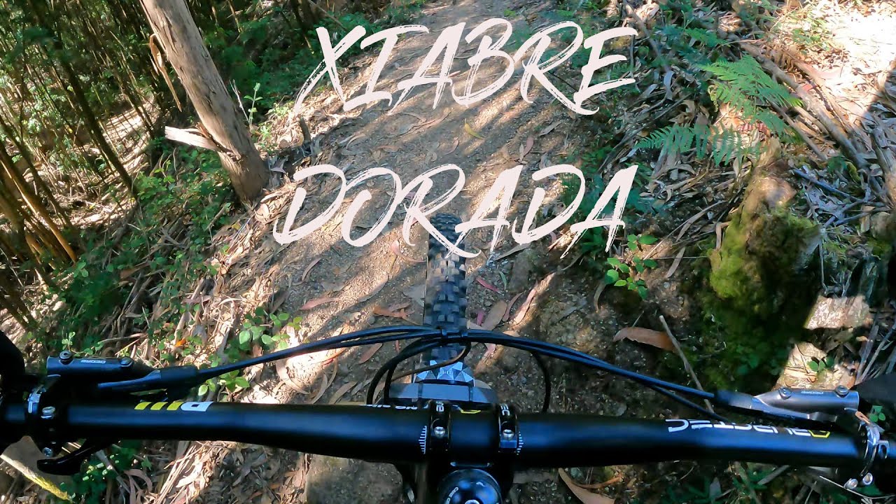 MONTE XIABRE - DORADA