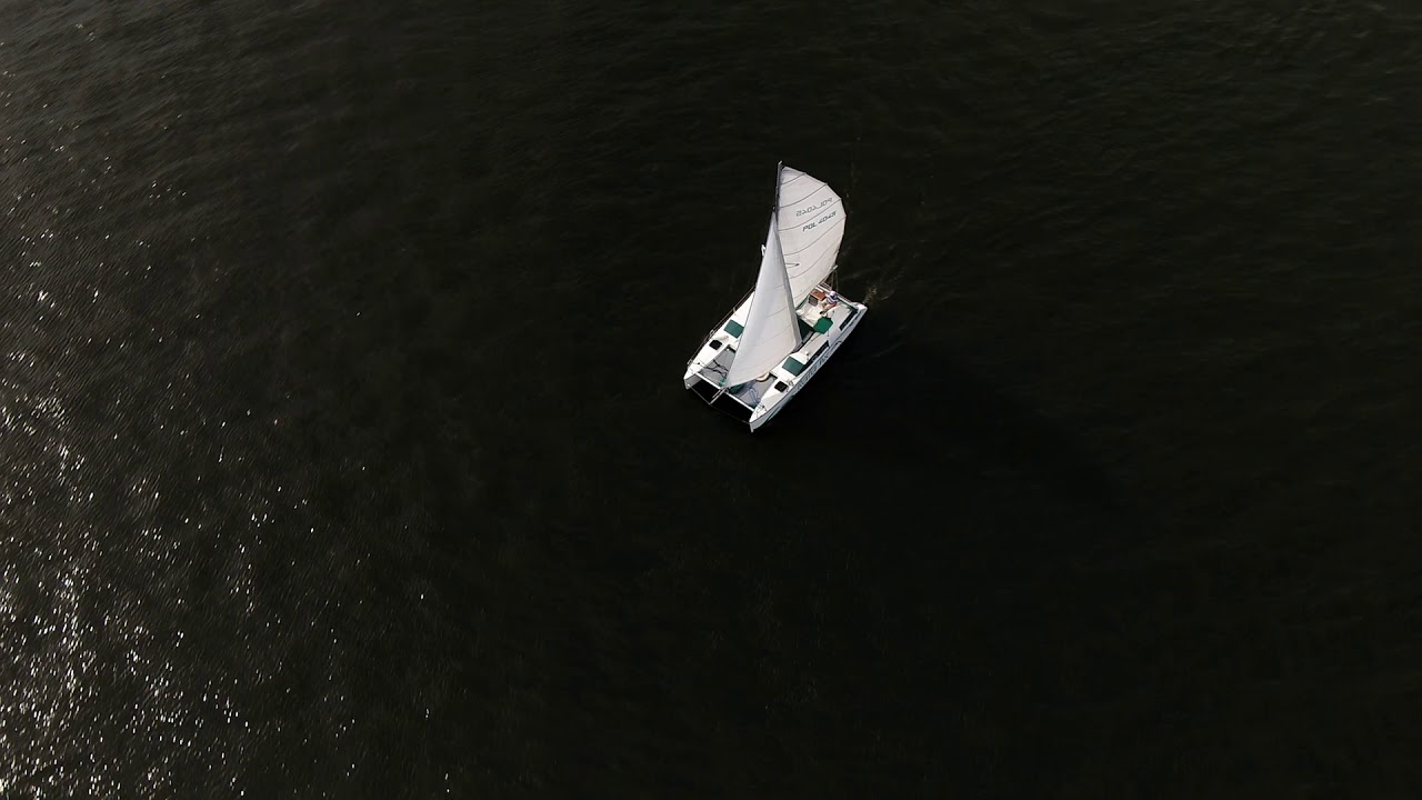 Mastercat HX 28 - PROMO