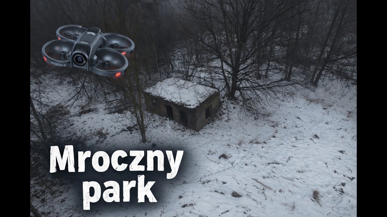 Lotny URBEX. Śląsk, mglisty park. DJI Avata 2 FPV