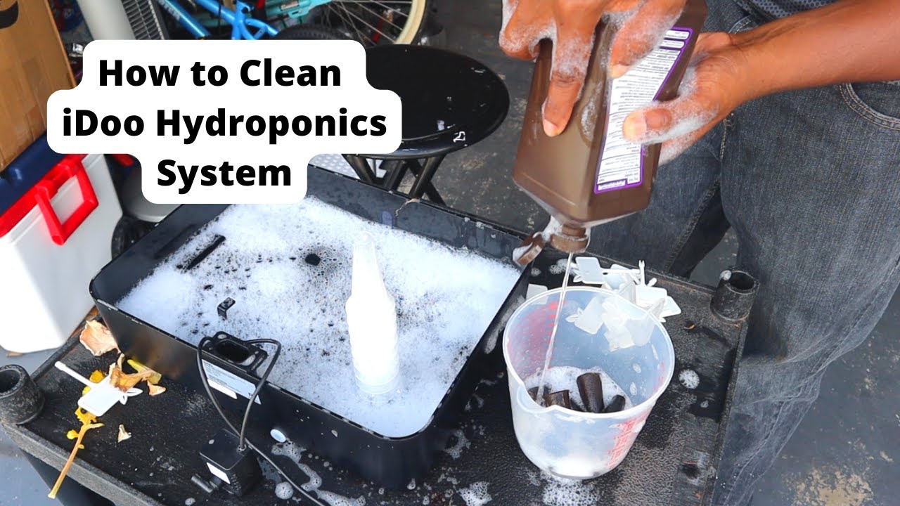 How to Clean Your iDoo Hydroponics System. Easy and Simple