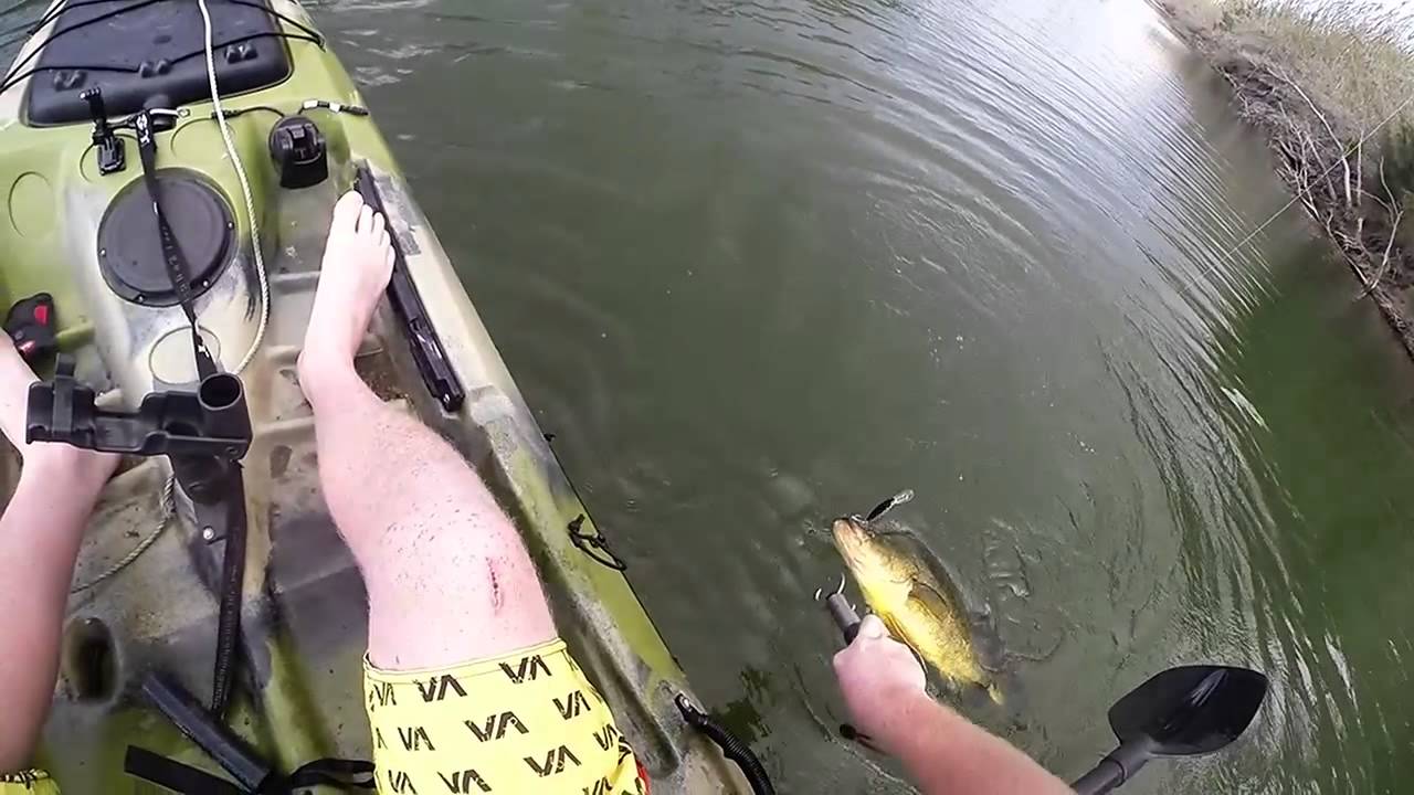 Monster Yellabelly dropped, Lockyer Creek