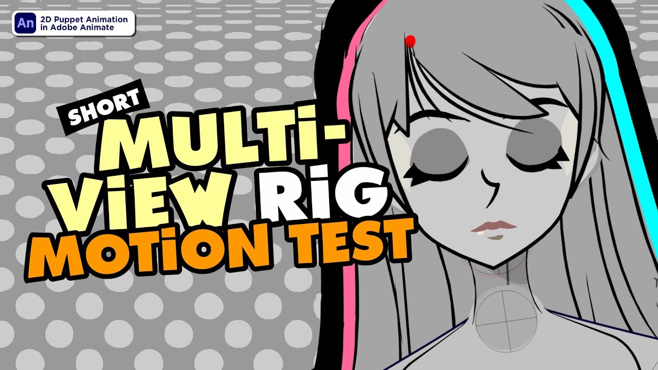 Multi View Motion Test and Overview