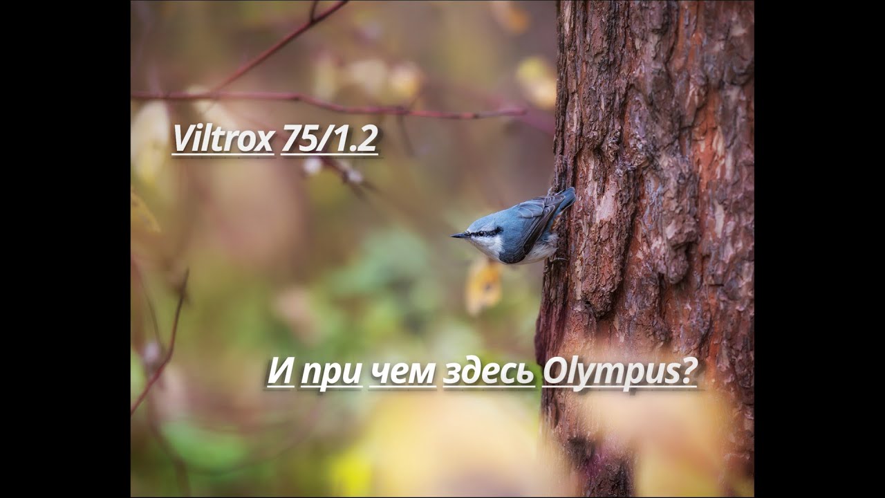 Viltrox 75/1.2 и при чем здесь Olympus?