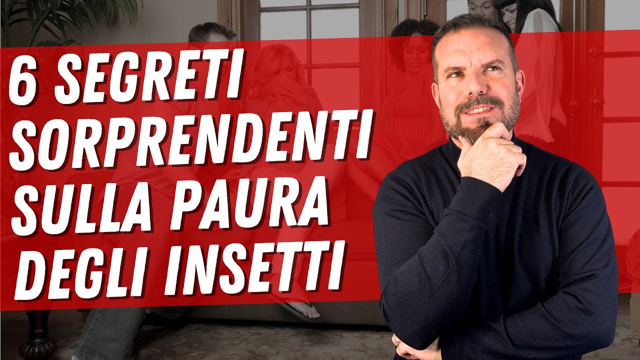 6 segreti sorprendenti sulla paura degli insetti