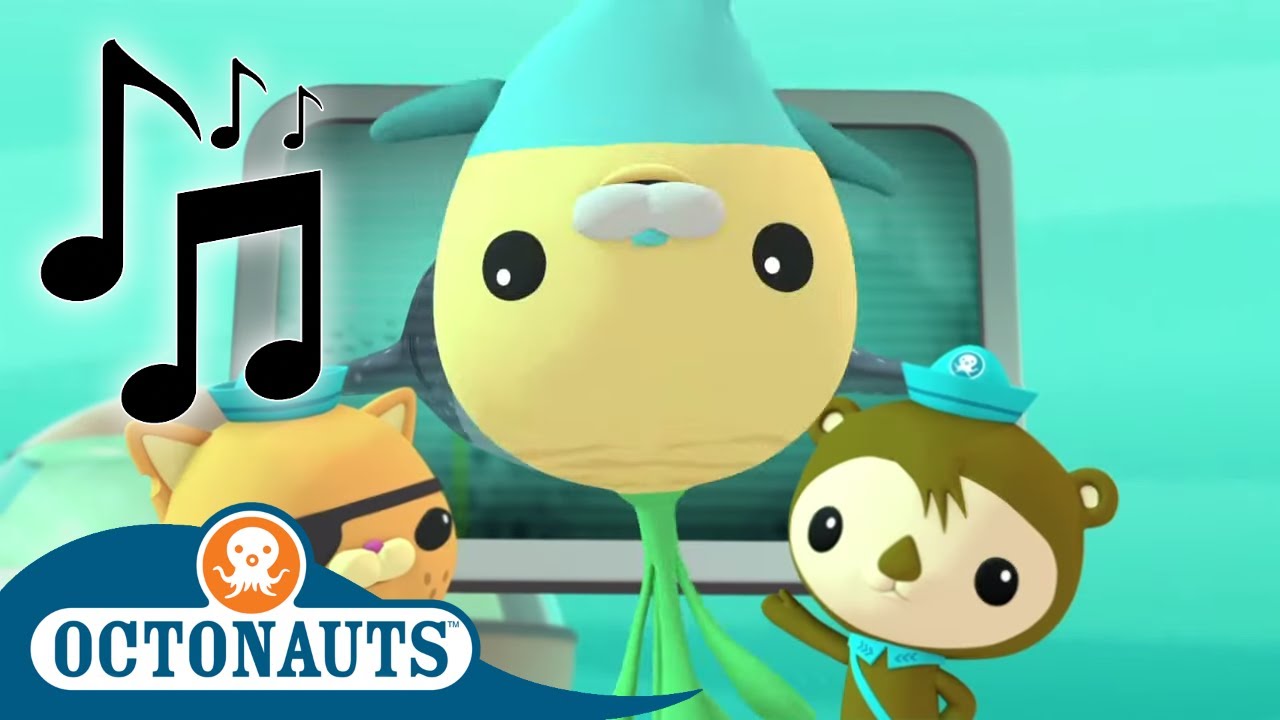Octonauts - Learn About Ocean Creatures | Cartoons for Kids | Creature Reports