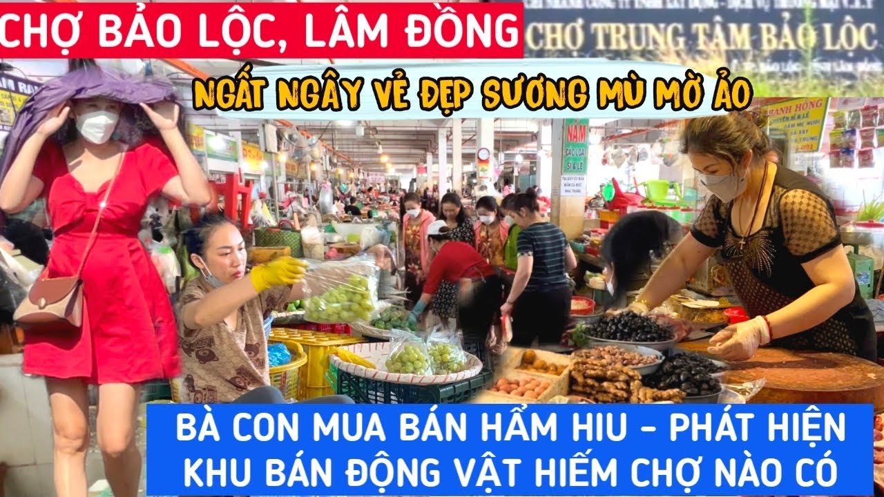 Ghé Thăm CHỢ BẢO LỘC, LÂM ĐỒNG - ĐẸP MỜ ẢO, Bất Ngờ Phát Hiện KHU BÁN ĐỘNG VẬT ÍT CHỢ NÀO CÓ |KPVL