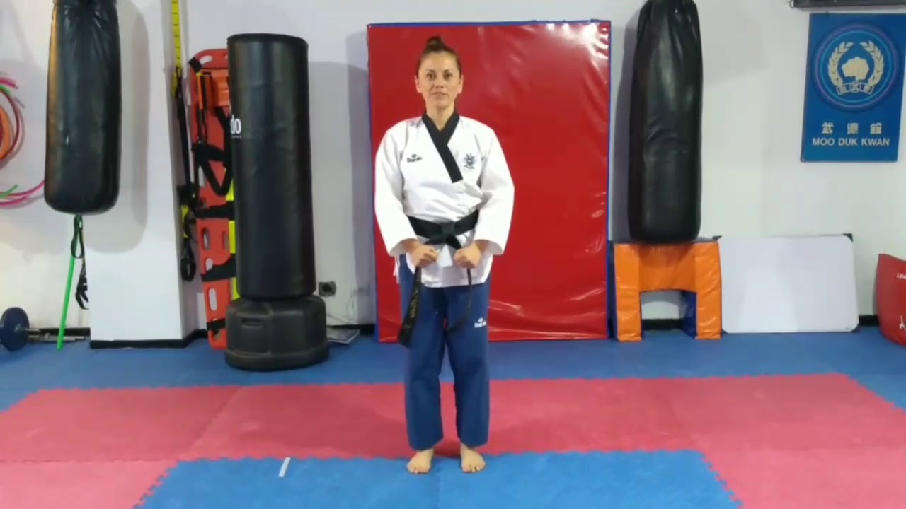 KIBON 2 - Básicos taekwondo - Explicación sencilla.
