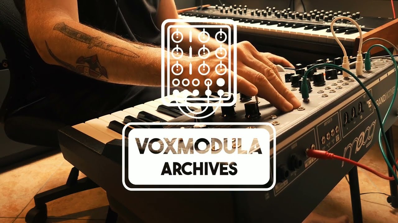 Moog Grandmother +| Prophet Rev2  Trippy Modular Exploration