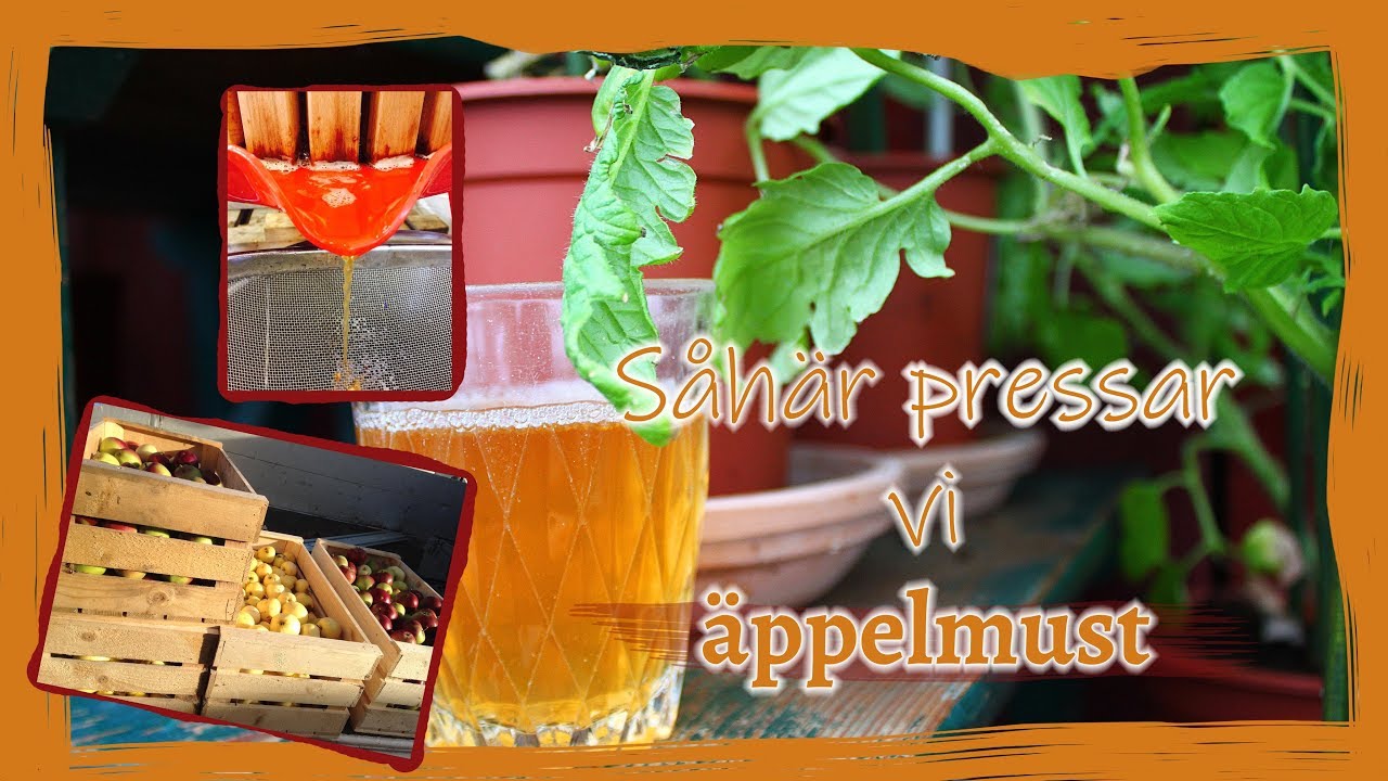 En snabbis: &auml;ppelpressning!