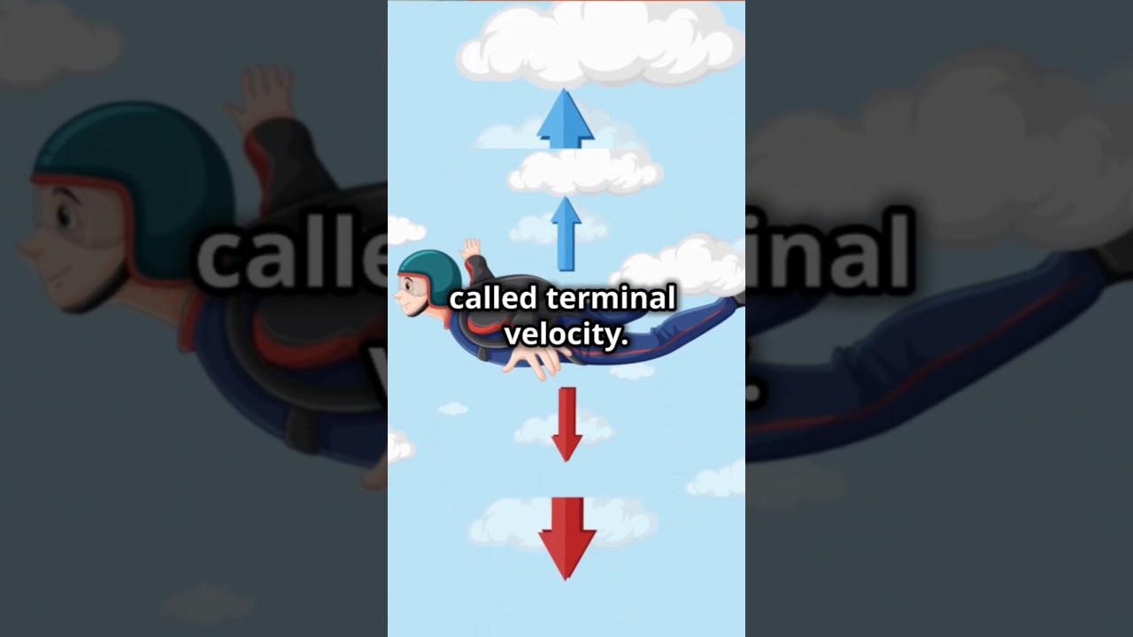 Terminal Velocity Explained... via Skydiving 🤔 #facts