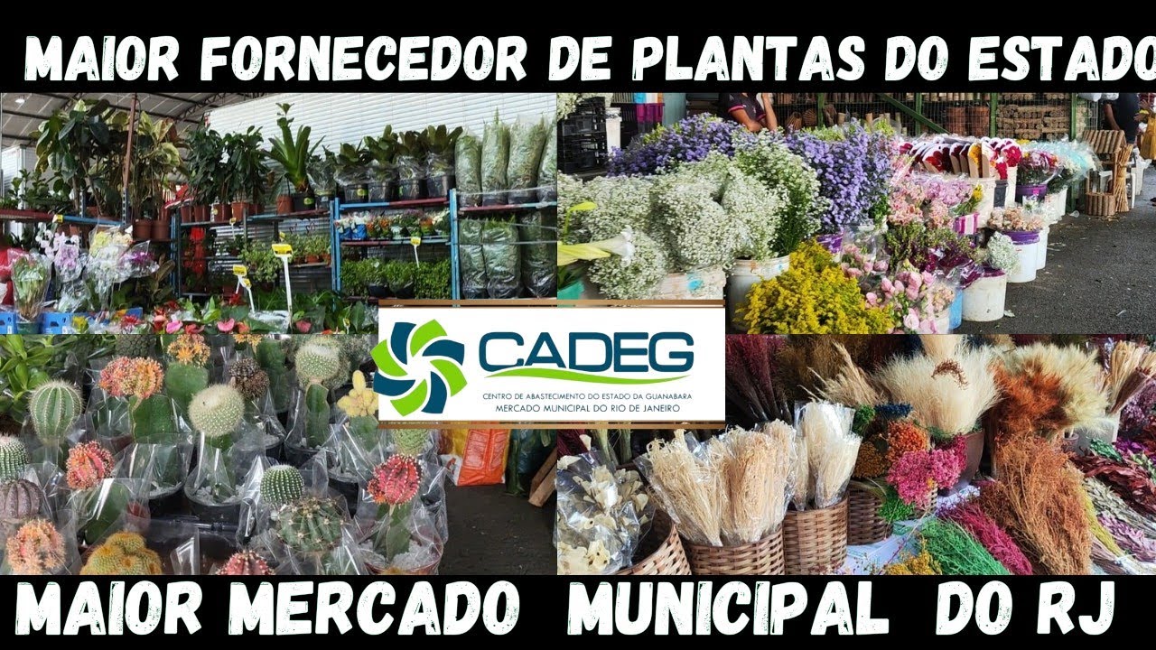 CADEG MAIOR FORNECEDOR DE PLANTAS DO ESTADO mercado municipal DO RJ - fiz um tour e mostrei tudo