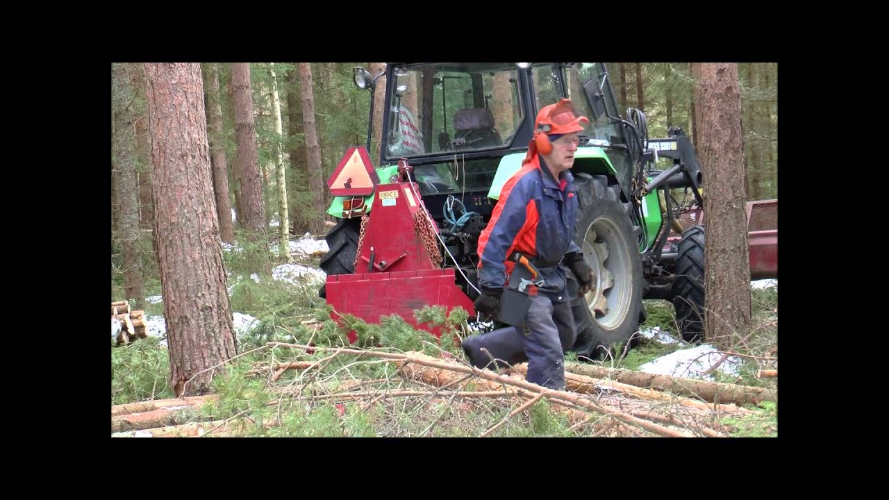 En dag i skogen 2016
