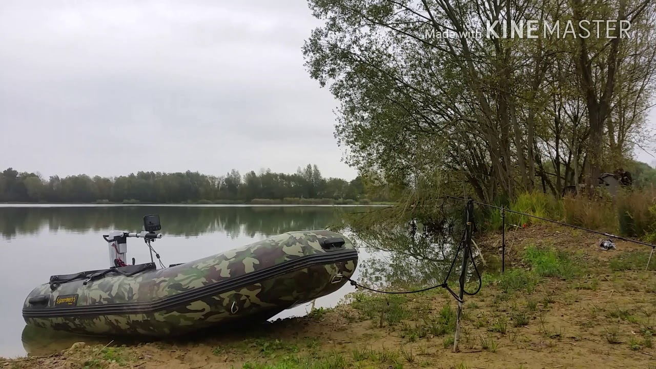 Pêche à la carpe : À la découverte d'une graviere