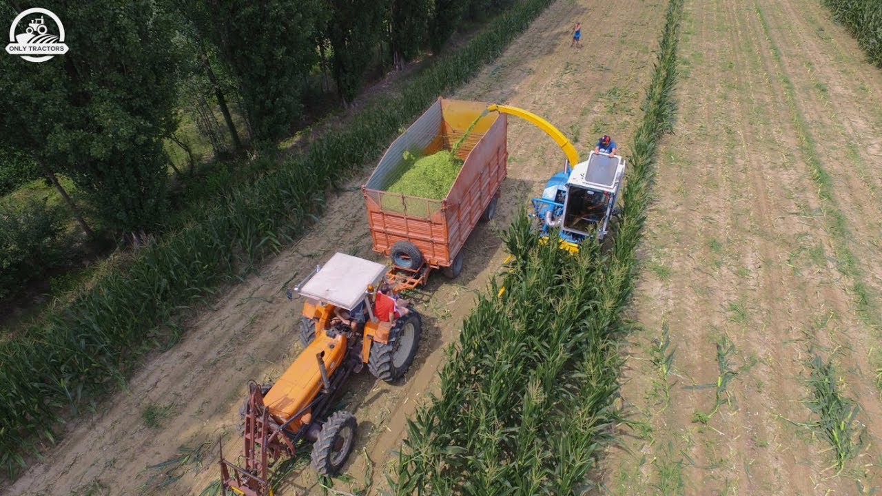 Mais Silage | BERNI EUROPA TS150 | FIAT tractors | CAGNIN | ᴴᴰ
