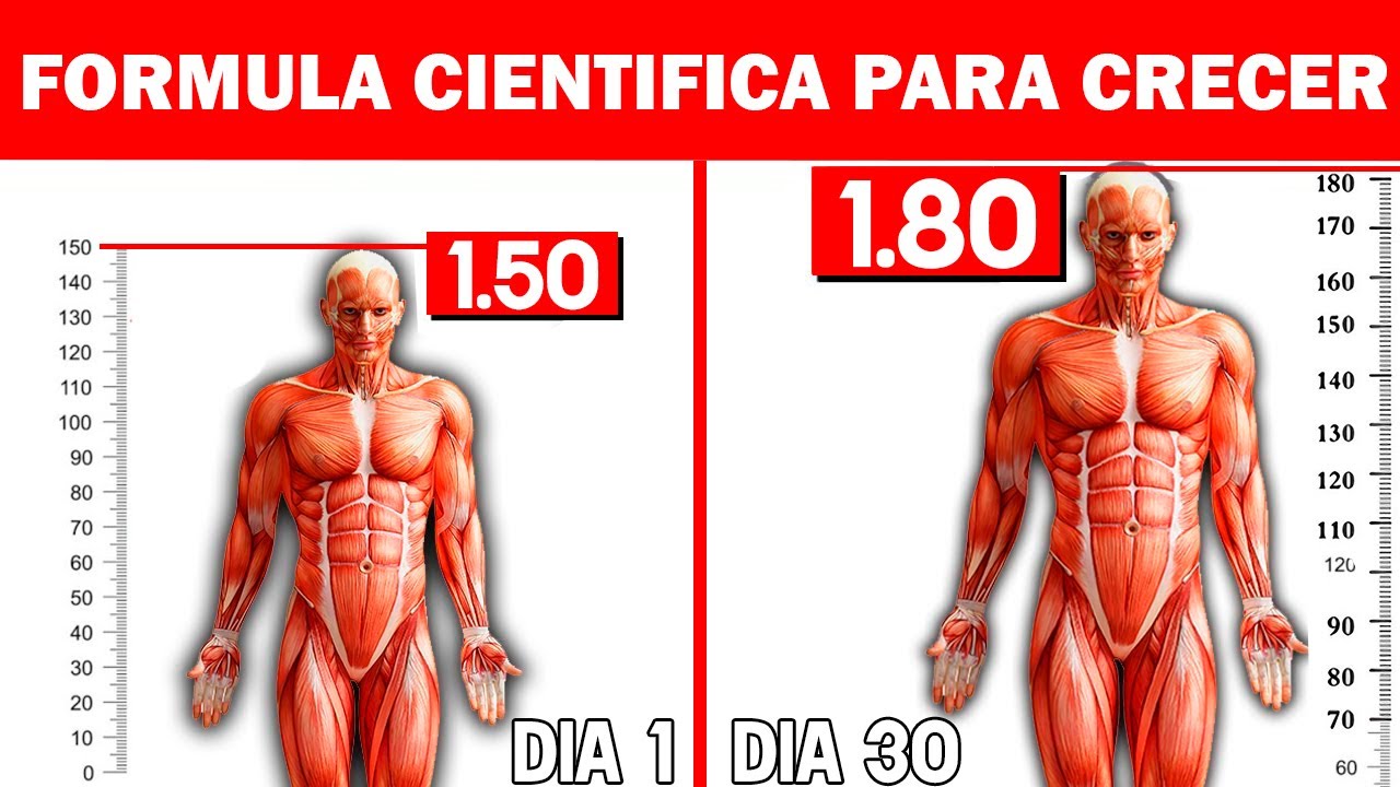 ✅ Como 𝐀𝐔𝐌𝐄𝐍𝐓𝐀𝐑 𝐃𝐄 𝐄𝐒𝐓𝐀𝐓𝐔𝐑𝐀 en 1 MES | FORMULA CIENT&Iacute;FICA De Aumentar La Altura