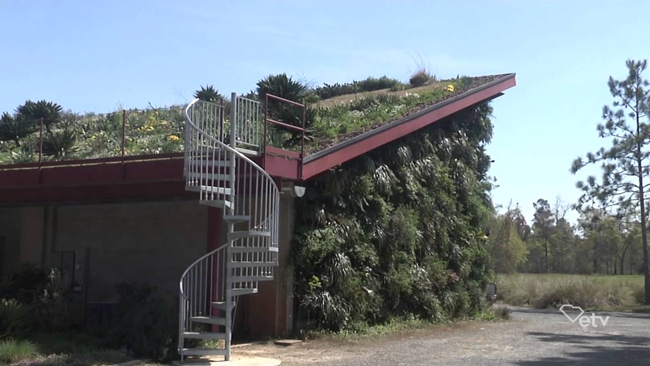 Making It Grow - Moore Farms Botanical Garden's Green Roof