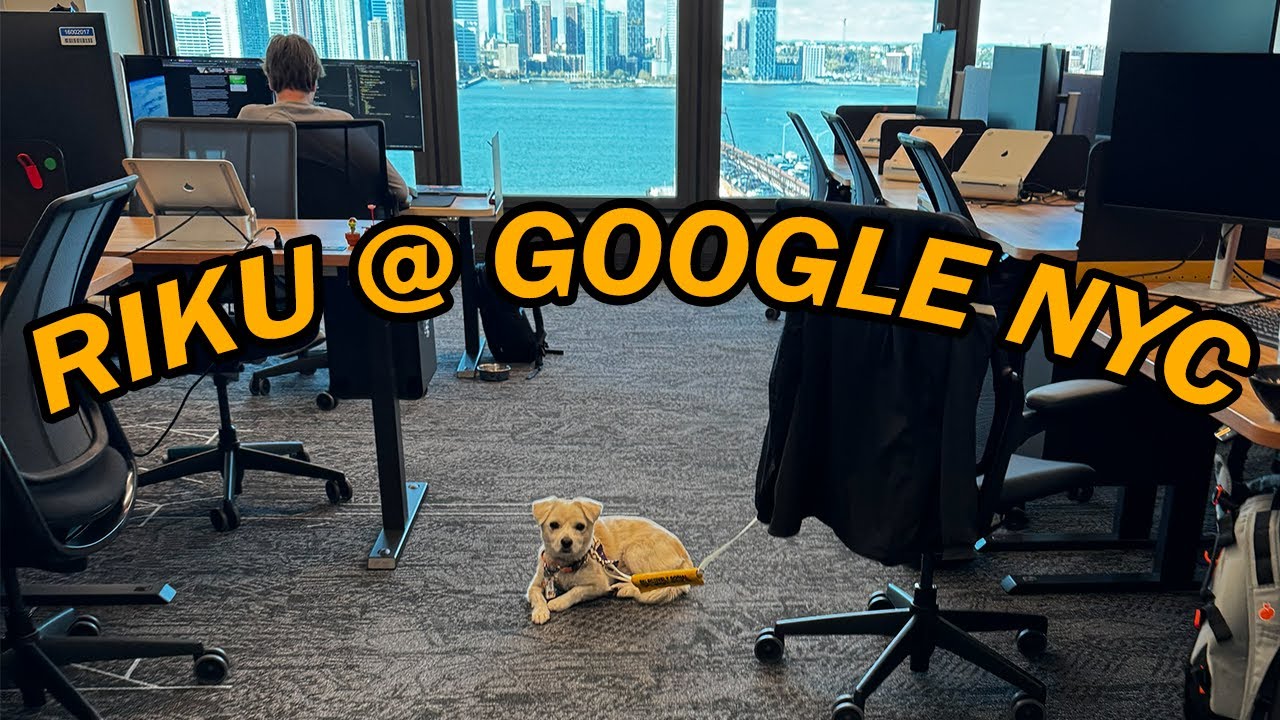 GOOGLE NYC WORK VLOG: Первый раз моей собаки в ОФИСЕ!