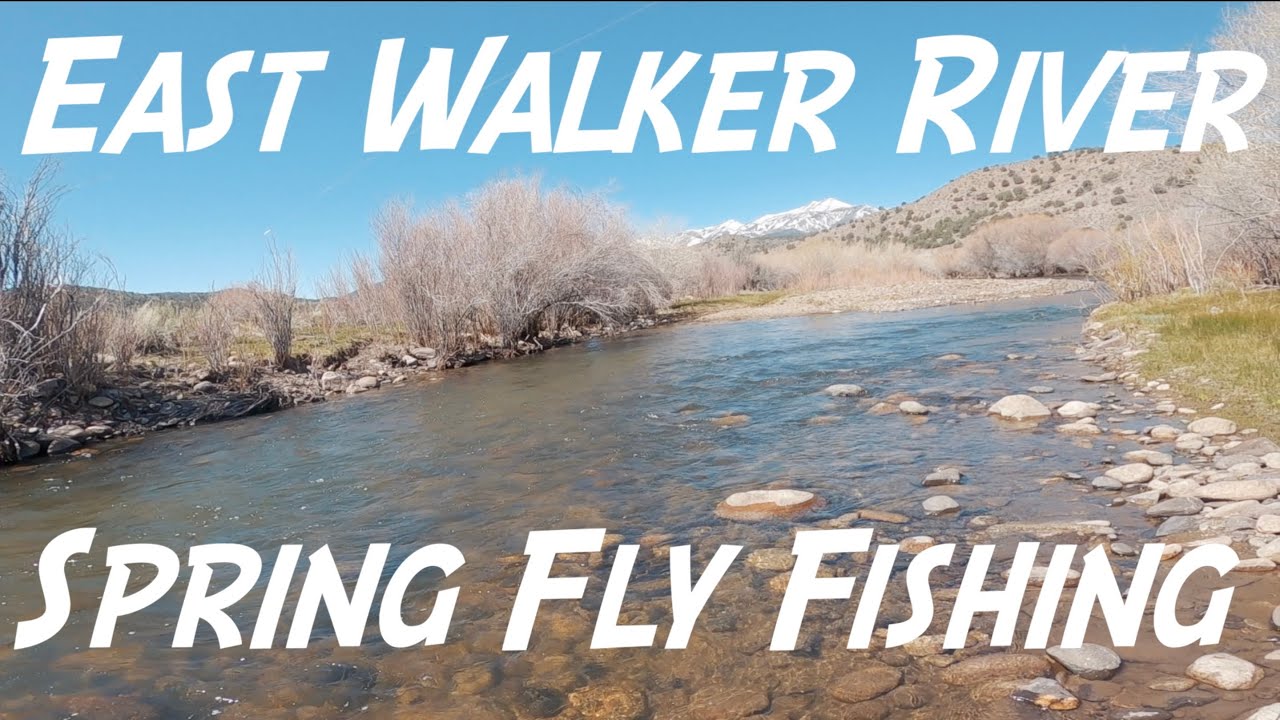 Spring Fly Fishing on the East Walker River