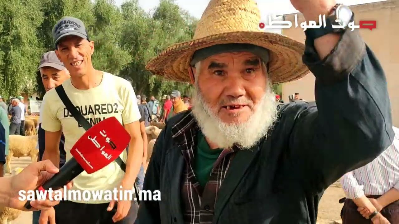 صفرو.. جدل بين المواطنين والكسابة بسوق الماشية  حول غلاء أضحية العيد