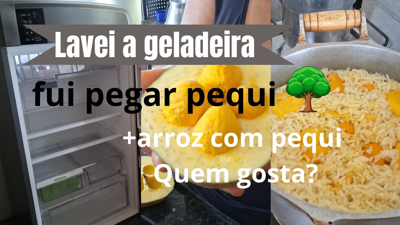 VLOG DO DIA:LAVEI GELADEIRA+PEGA DE PEQUI +ARROZ COM PEQUI UMA DELÍCIA 😋 