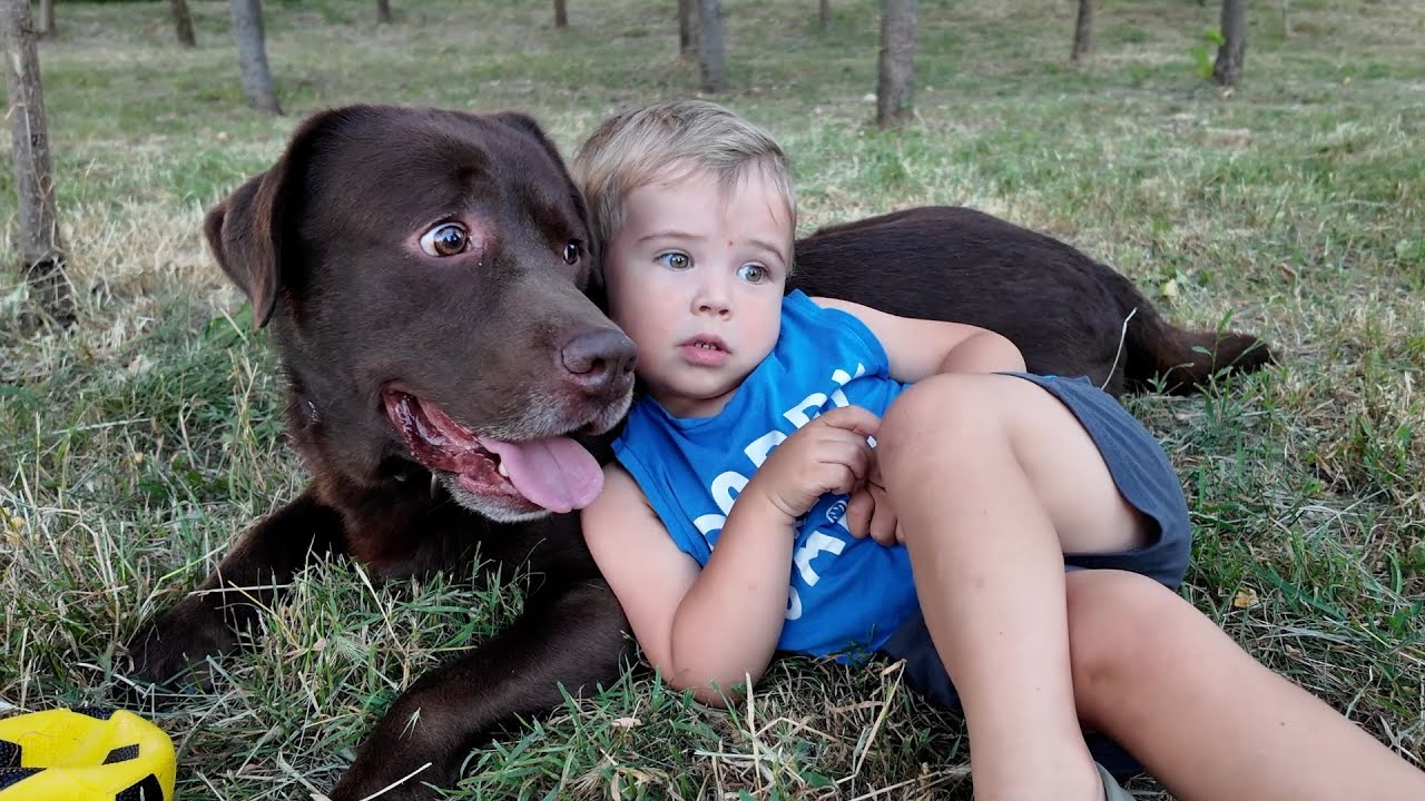 Baby Boy and His Dog Rest Side by Side After Running Wild