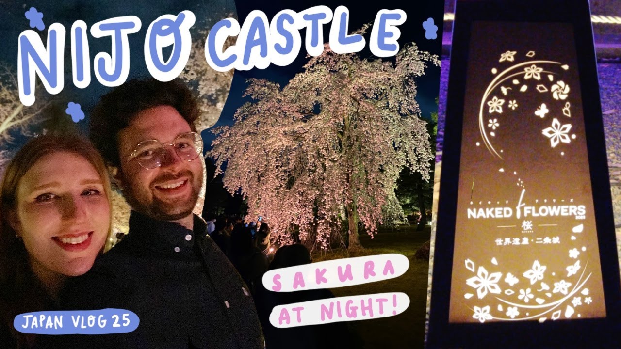 How to Book the Sakura Light Show (and Why You Should) JAPAN VLOG 25