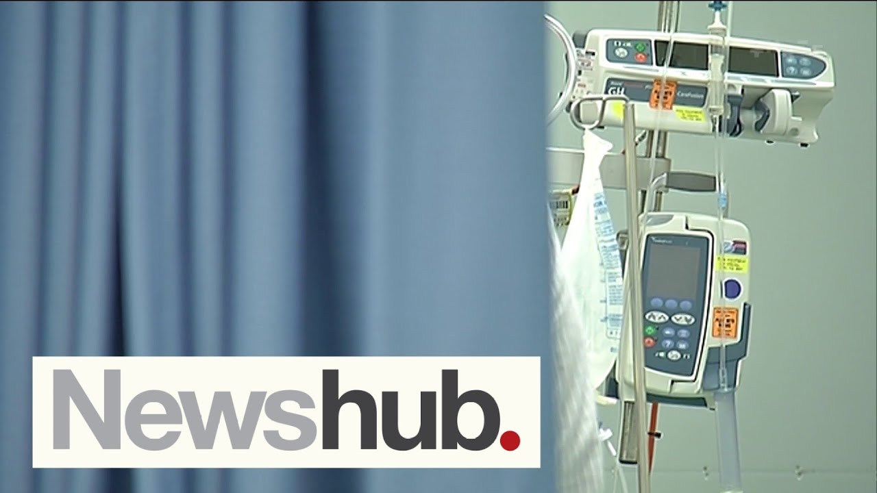 Hospital patient dies following claims they left ED due to long wait times | Newshub