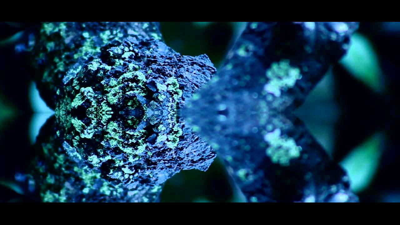 SILVA - Cortometraggio sperimentale