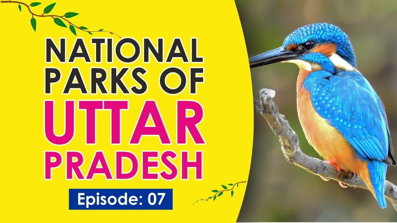 Sandi Bird Sanctuary & Samaspur Bird Sanctuary - National Parks & Sanctuary of UP