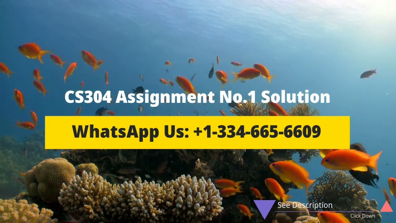 CS304 Assignment No. 1 Solution Spring 2023
