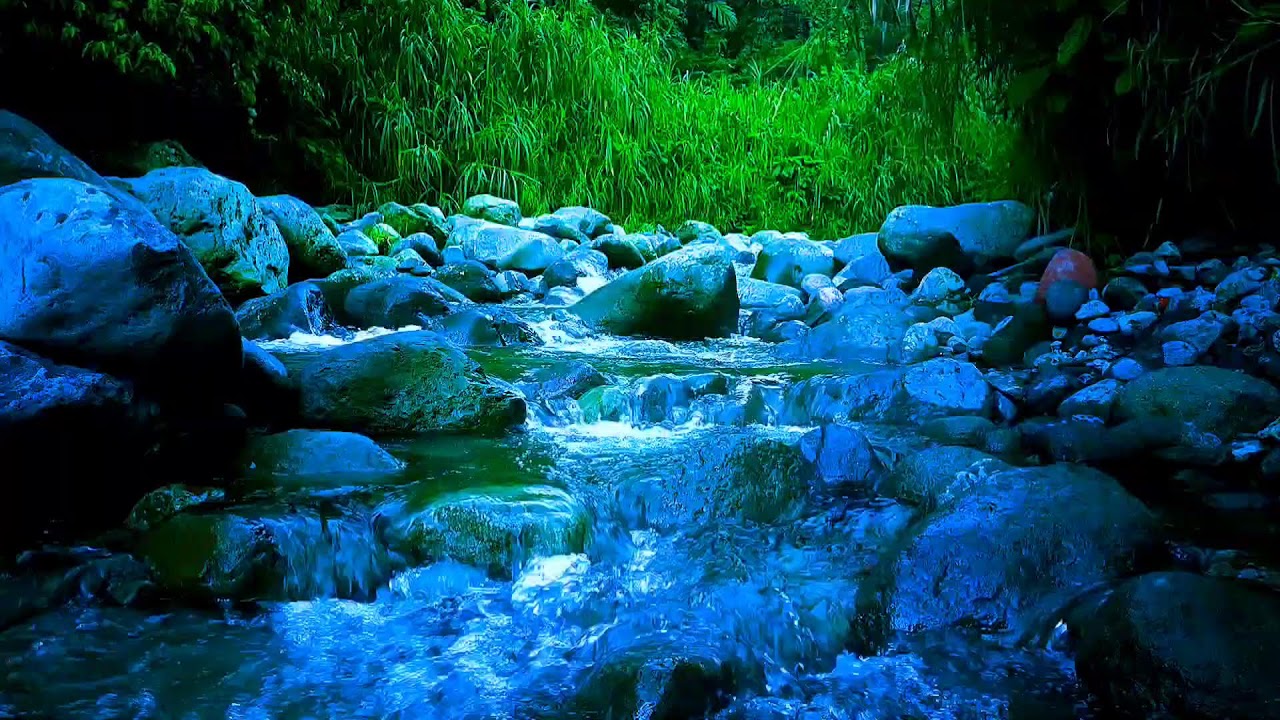 Relaxation River Sounds with Gentle Breeze + Bird Calls for Better Sleep Tonight