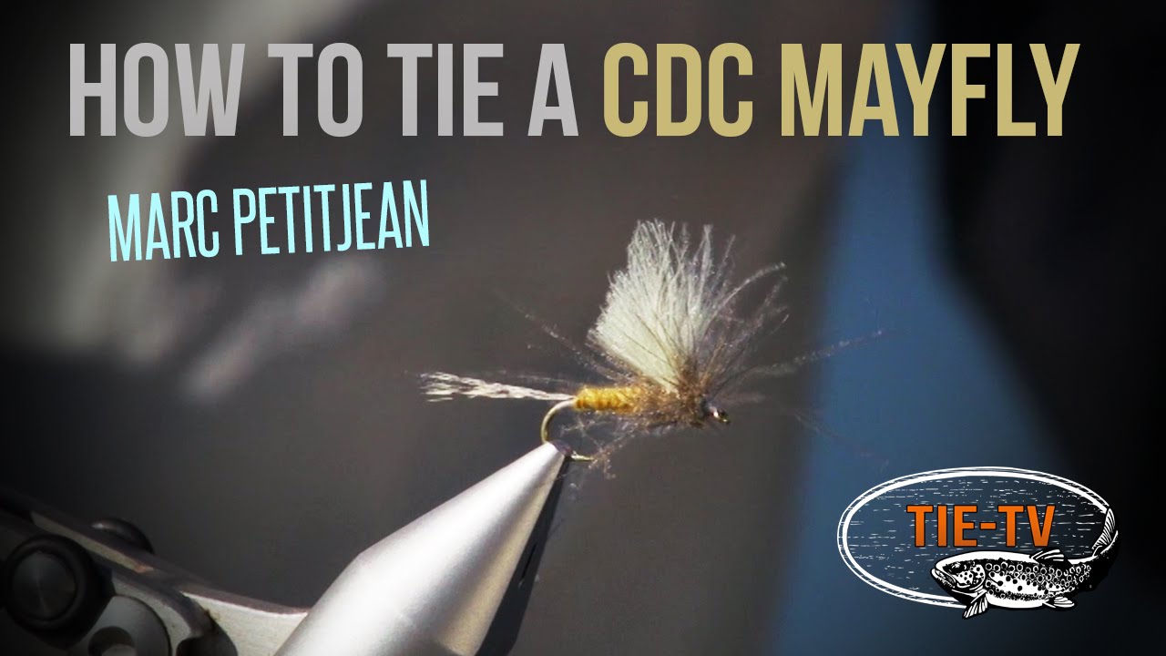 Tie TV - CDC Mayfly - Marc Petitjean