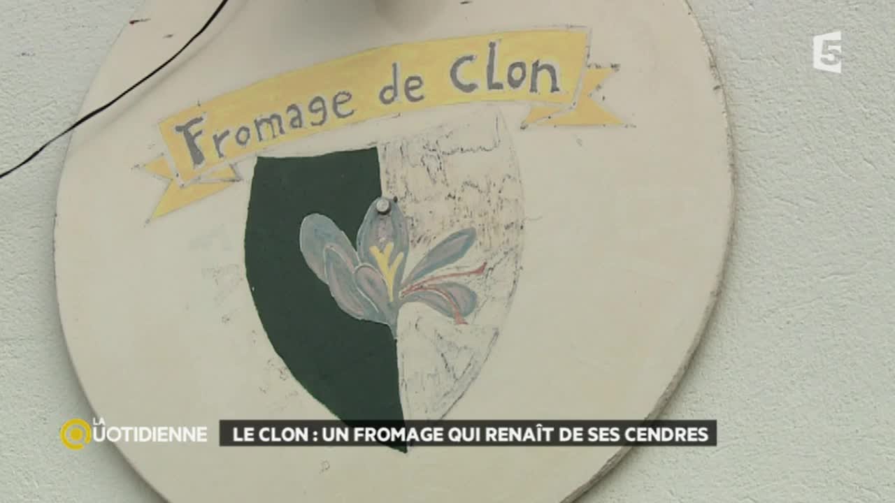 Le clon : un fromage qui rena&icirc;t de ses cendres