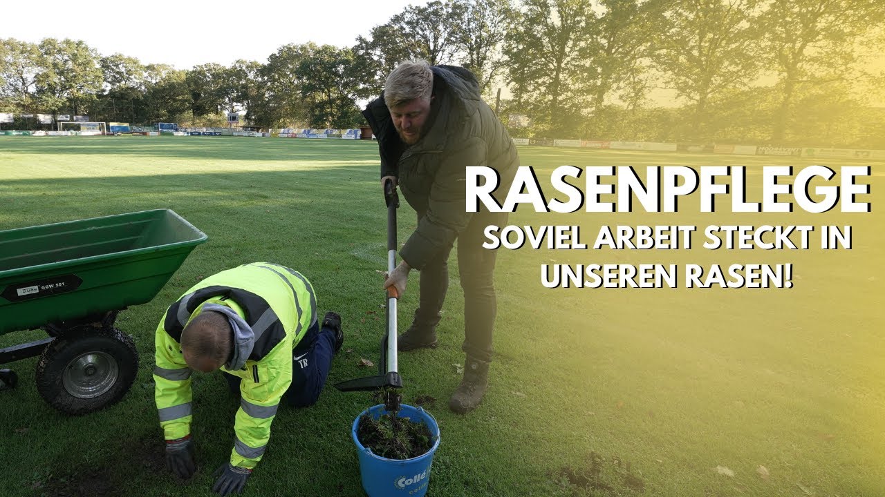 Ehrenamt im Rampenlicht: Unkrautbekämpfung und Vereinswandel