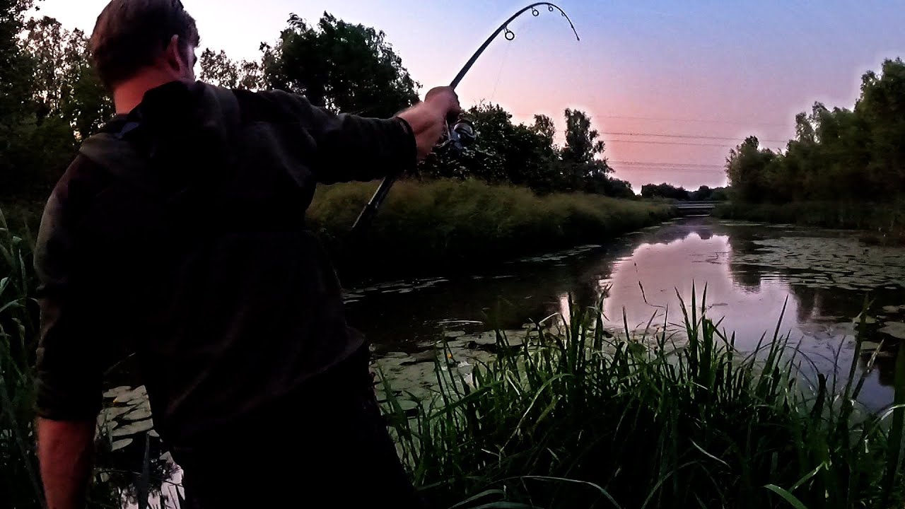 Karper op de dobber (#10): Steur Terreur