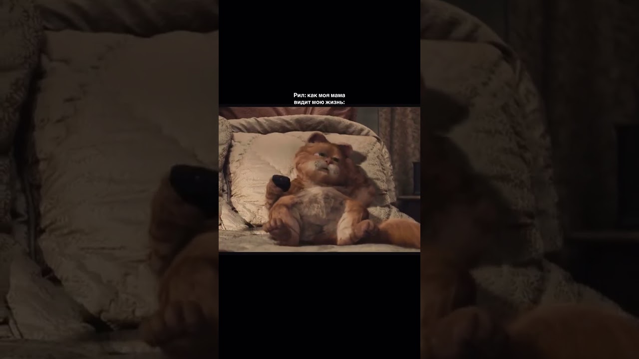#рек #кот #жиза #юмор #тикток #youtubeshorts #tiktok #lifeofblog