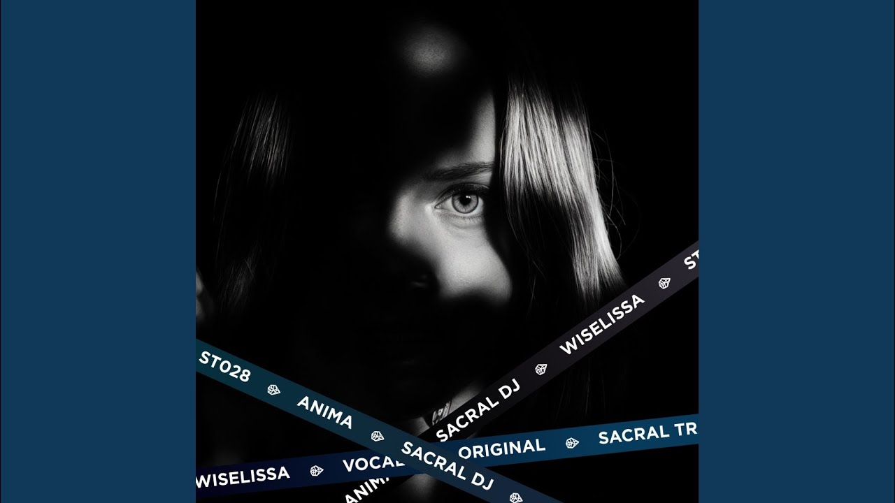 ANiMA (feat. Wiselissa)