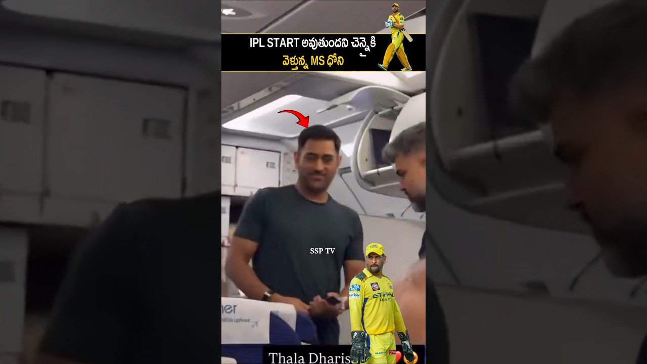 MS Dhoni Beautiful Visuals At Chennai About IPL | CSK TEAM | SSP TV