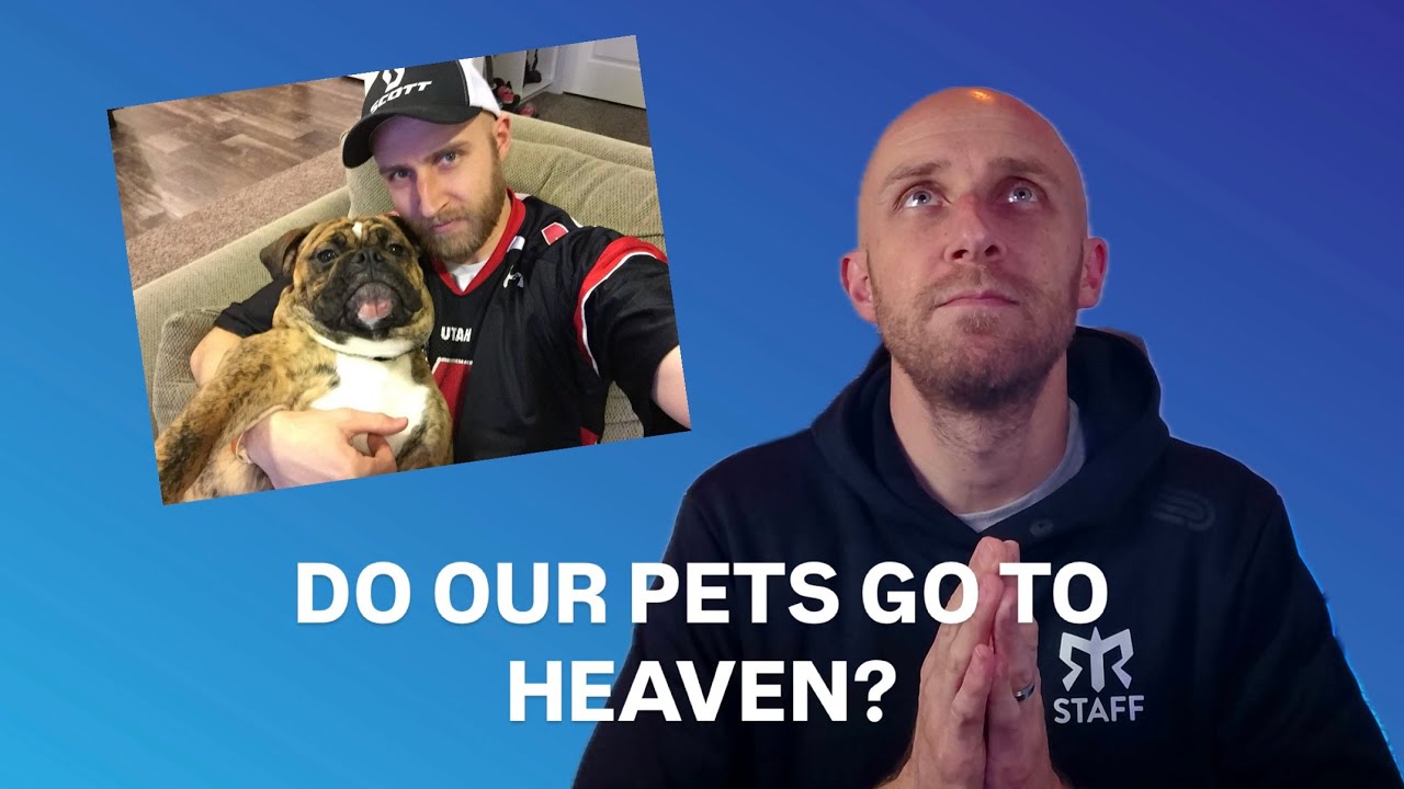 Do Our Pets Go to Heaven?