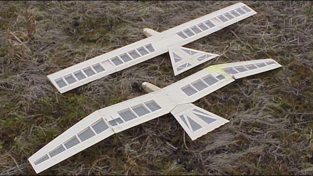 垂直尾翼の無い鳥型機　究極の鳥型グライダー　24年　「世界初鳥型飛行機」～