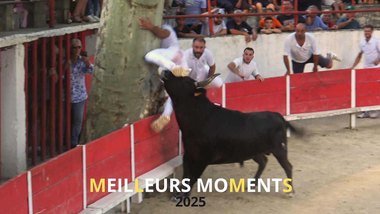 LES MEILLEURS MOMENTS DE 2025 - PARTIE 6