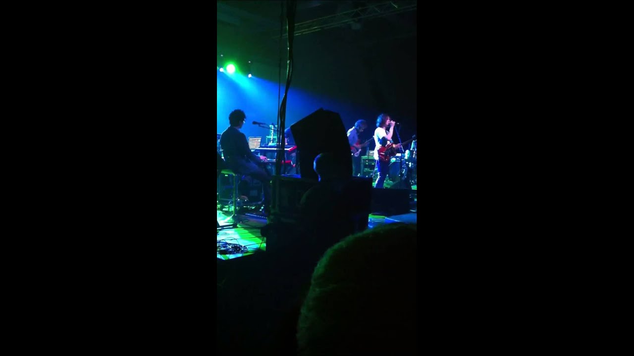 MGMT-The Youth Calvin College