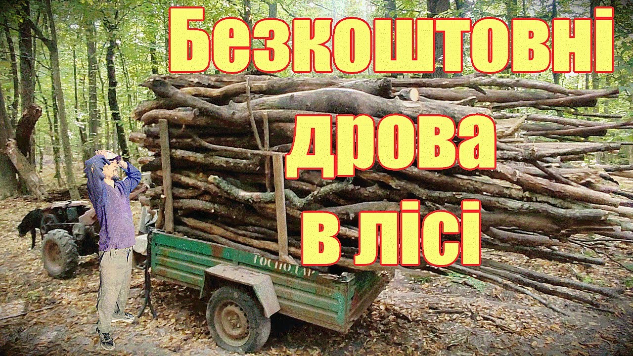 АВАРІЯ В ЛІСІ НА ВАЖКОМУ  МОТОБЛОЦІ З ДРОВАМИ