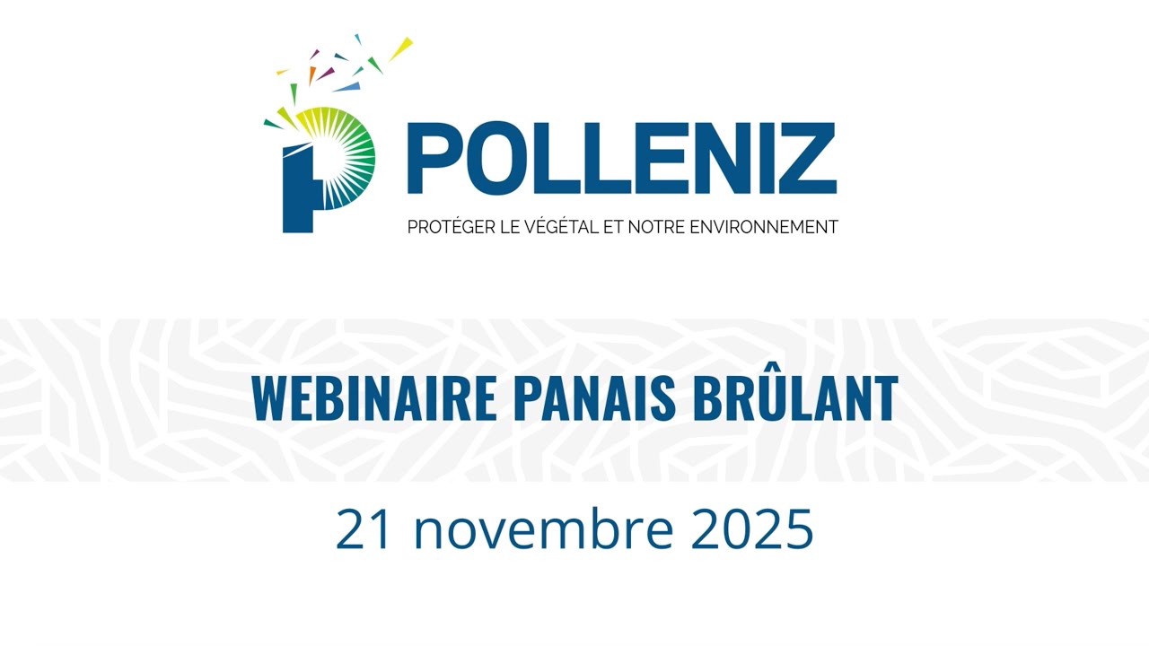 Vidéo Webinaire Panais Brûlant POLLENIZ