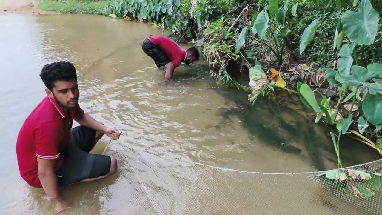 আজকে রবিবার ছুটির দিন চলে আসলাম মাছ ধরতে, আমরা মালেশিয়া প্রবাসী,সবাই আমাদের চ্যানেলটি sudscaridকরবেন