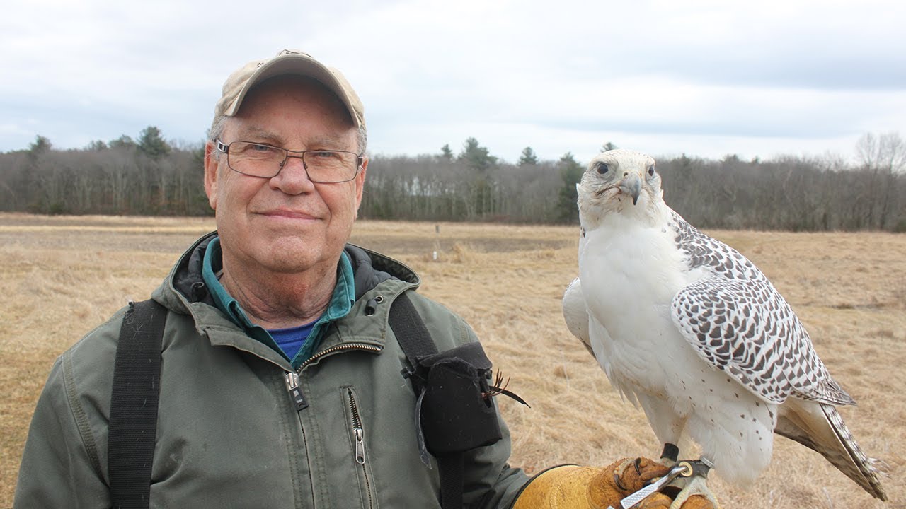 Falconry