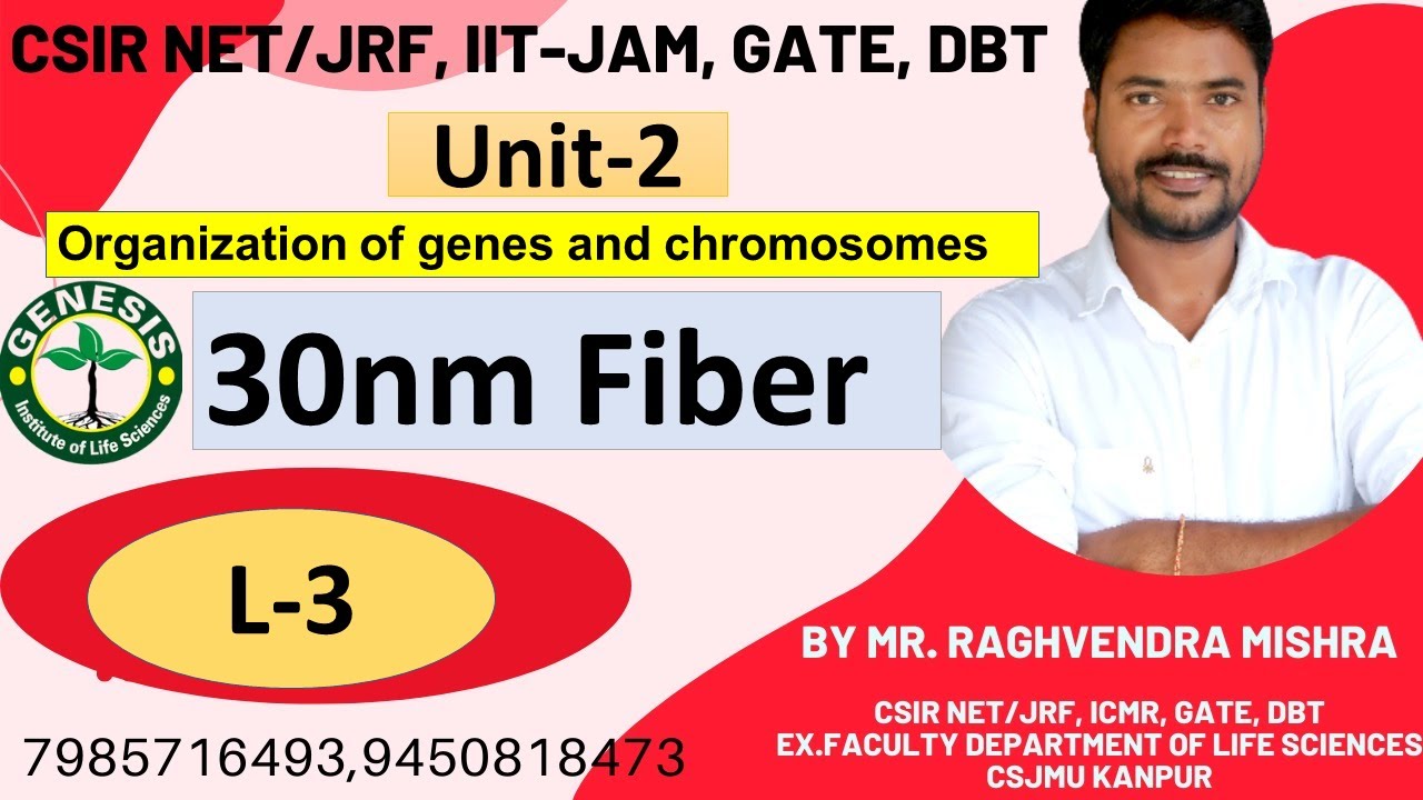 Heterochromatin| Euchromatin | Chromosome | L-4 |Unit-2 |𝐆𝐞𝐧𝐞𝐬𝐢𝐬 𝐈𝐧𝐬𝐭𝐢𝐭𝐮𝐭𝐞 𝐨𝐟 𝐋𝐢𝐟𝐞 𝐒𝐜𝐢𝐞𝐧𝐜𝐞𝐬.